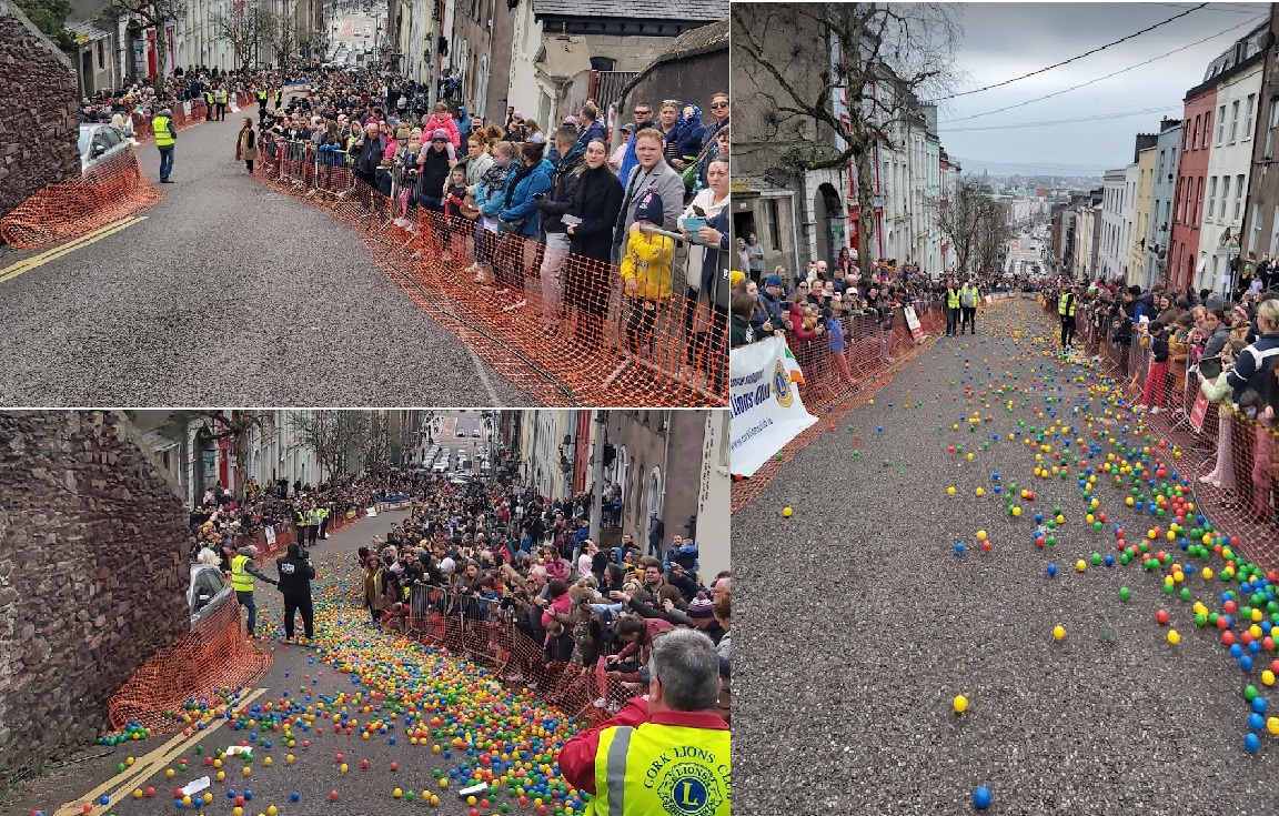 cork lions club cork charity part of international Lions club District